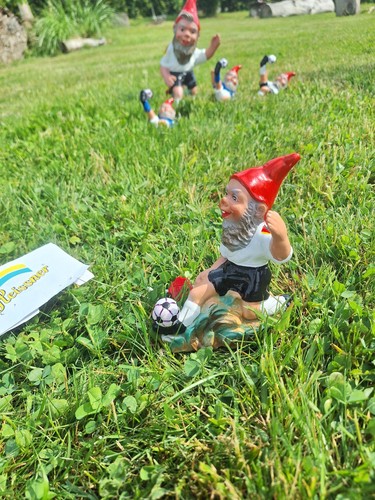 Fussball gartenzwerg - fussball,