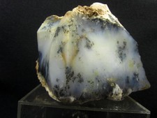 Dendriten-Opal