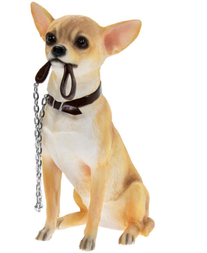 Chihuahua große 18cm - chihuahua,