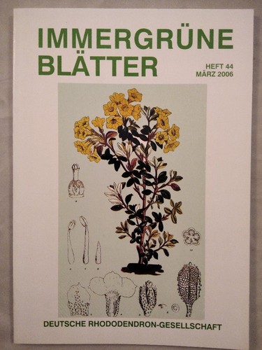 Immergrüne blätter - immergrüne, 44