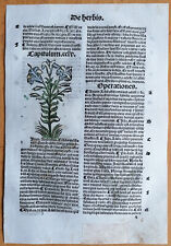 Original Post Inkunabel Hortus