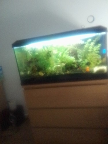 Nano aquarium komplett set - nano-aquarium-komplett-set, 80