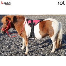 L-Sport Einsteiger-Set