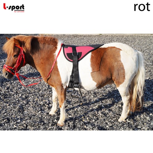 Sport einsteiger set - l-sport, einsteiger-set