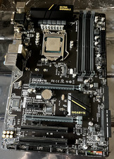 Motherboard, CPU, and Cooler