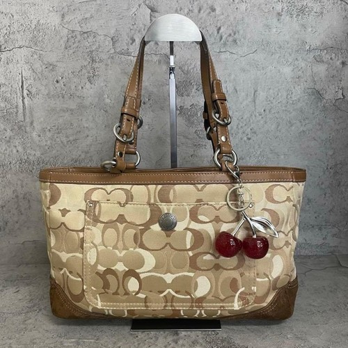 Coach y2k signature wildleder - coach,