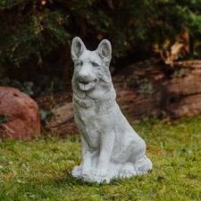 Deutscher schäferhund hund - deutscher,