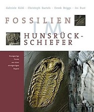 Fossilien im Hunsrück