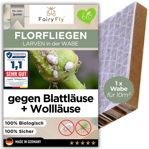 Florfliegenlarven gegen