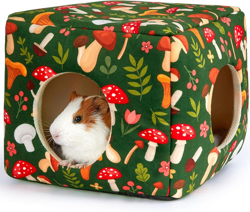 Meerschweinchen haus - meerschweinchen, 2