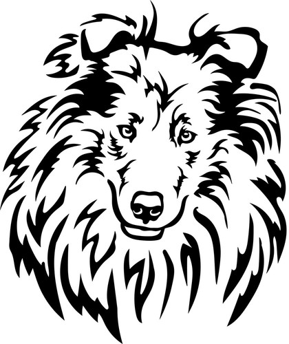 Collie aufkleber - aufkleber,