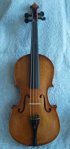 Geige violine alt - violine,