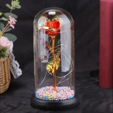 Galaxis Rose in Glaskuppel