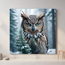 Eisiger Blick Mystische