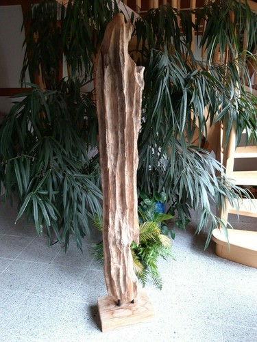Teak wurzelholz skulptur asia - teak,
