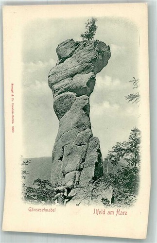 38263360 5505 ilfeld - 38263360,
