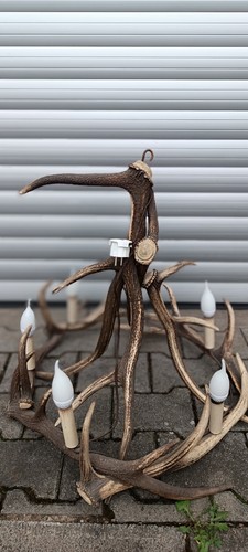 Geweihlampe aus