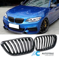 Kühlergrill Nieren Grill für