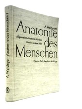Anatomie des Menschen, Volume