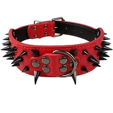 Hundehalsband  Nieten gegen