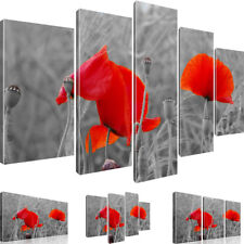 Leinwandbilder Mohnblume Wiese Wandbild auf Leinwand
