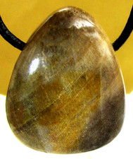 VERSTEINERTES  HOLZ