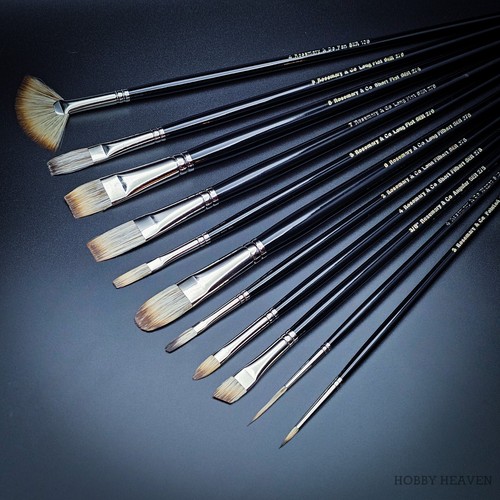 Rosmarin set 170 masters - &,
