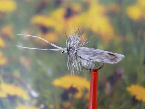 Trockenfliege grizzle sedge - trockenfliege,