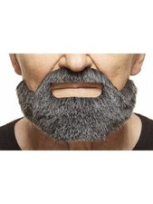 Hollywoodian Vollbart -