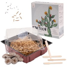 Kakteen Anzuchtset - Gewächshaus, Erde & Samen: Wüstenrose + Lebender Granit