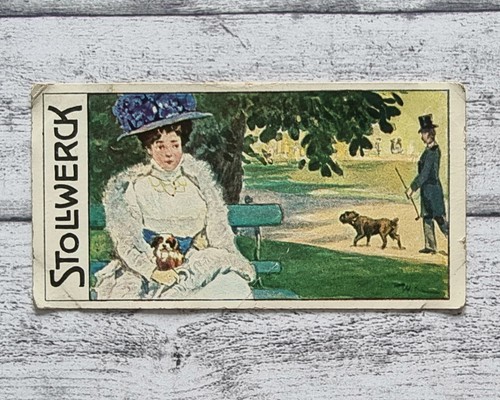 Hunde gesellschafter frau 453 - frau,