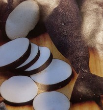 Rettich "blauer Herbst"