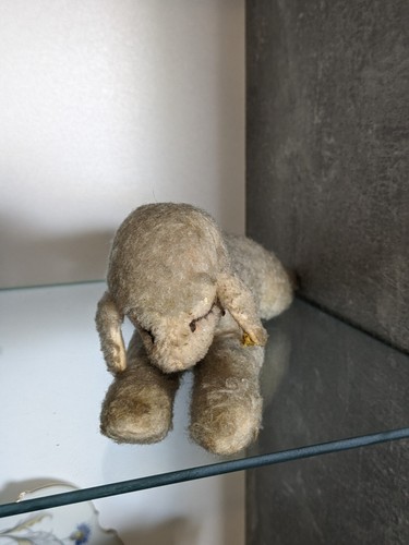 Altes steiff schaf liegend - ,