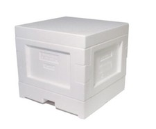 Mini Plus Beute MIT 6 Rahmen