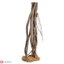 RA Mangrove Root - Medium