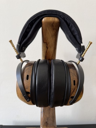 Zmf atrium closed - zmf,