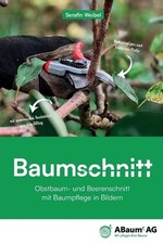 Baumschnitt - Obstbaum und