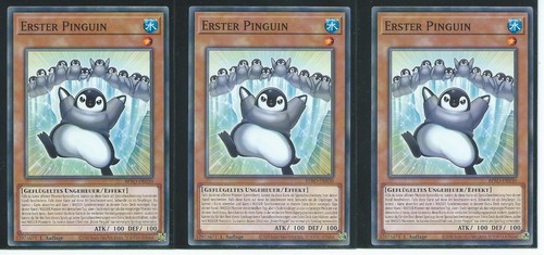 3x erster pinguin - yu,