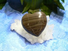 Stromatolith Herz 40x40x13mm