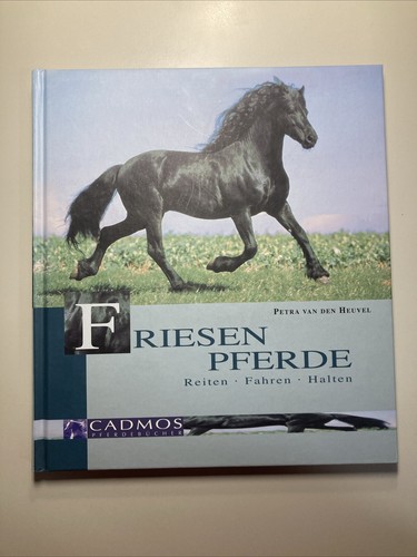 Heuvel friesenpferde reiten - friesenpferde,