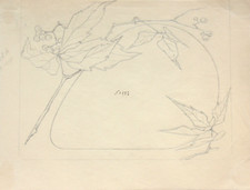 Jugendstil-Ornament, Wilder