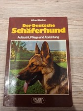 Deutscher Schäferhund
