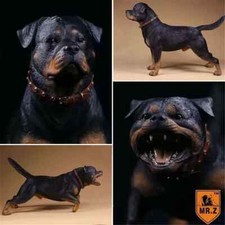 JXK 1/6 Rottweiler Loyal