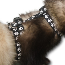 Frettchen Geschirr  Designe