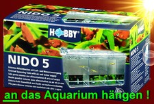 Aquarium ❤️EXT. ABLAICHKASTEN ➕ SAUERSTOFFVERSORGUNG ❤️ Aufzuchtsbecken Zubehör