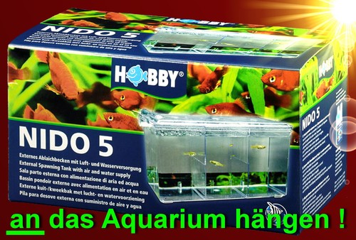 Aquarium ext - aquarium, 🐟ext