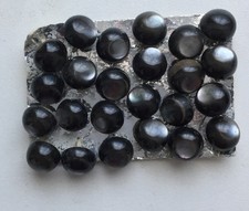Perlmuttknöpfe: 24 schwarze
