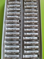 Ergophatics Viren – Coxsackieviren Regumed Testsatz  Bicom Testsatz