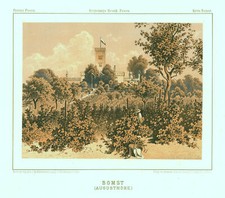 Bomst Babimost Original