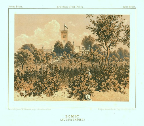 Bomst babimost original - bomst,